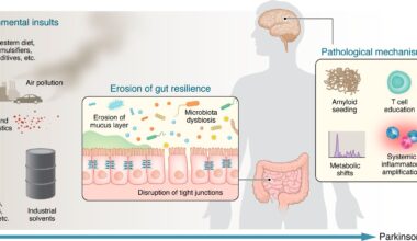 Environmental insults reduce gut resilience and initiate convergent mechanisms that drive Parkinson’s disease. A lifetime of environmental insults (including Western diets and food additives, nano- and microplastics, pesticides and herbicides, industrial solvents, and air pollution) act on the intestinal microbiome and barrier. These exposures promote microbiota dysbiosis, disrupt tight junctions, and erode the mucus layer, collectively reducing gut resilience. Once this peripheral defense is compromised, several mechanistic pathways propagate pathology to the brain: (a) amyloid seeding by bacterial functional amyloids, (b) maladaptive T cell education and autoimmune responses, (c) microbiome-driven metabolic shifts that generate neurotoxic metabolites and reduce short-chain fatty acids, and (d) systemic inflammatory amplification. Together, these processes lower the threshold for α-syn misfolding, neuroinflammation, and neurodegeneration.