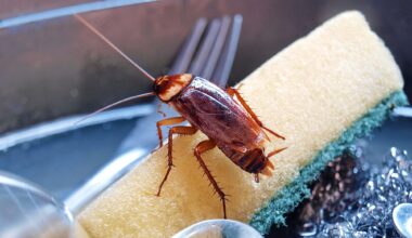 Study finds cockroach allergy often driven by shared proteins across arthropods