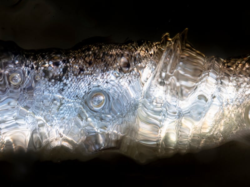 The Ocean Within. Photograph: Yvette Monahan