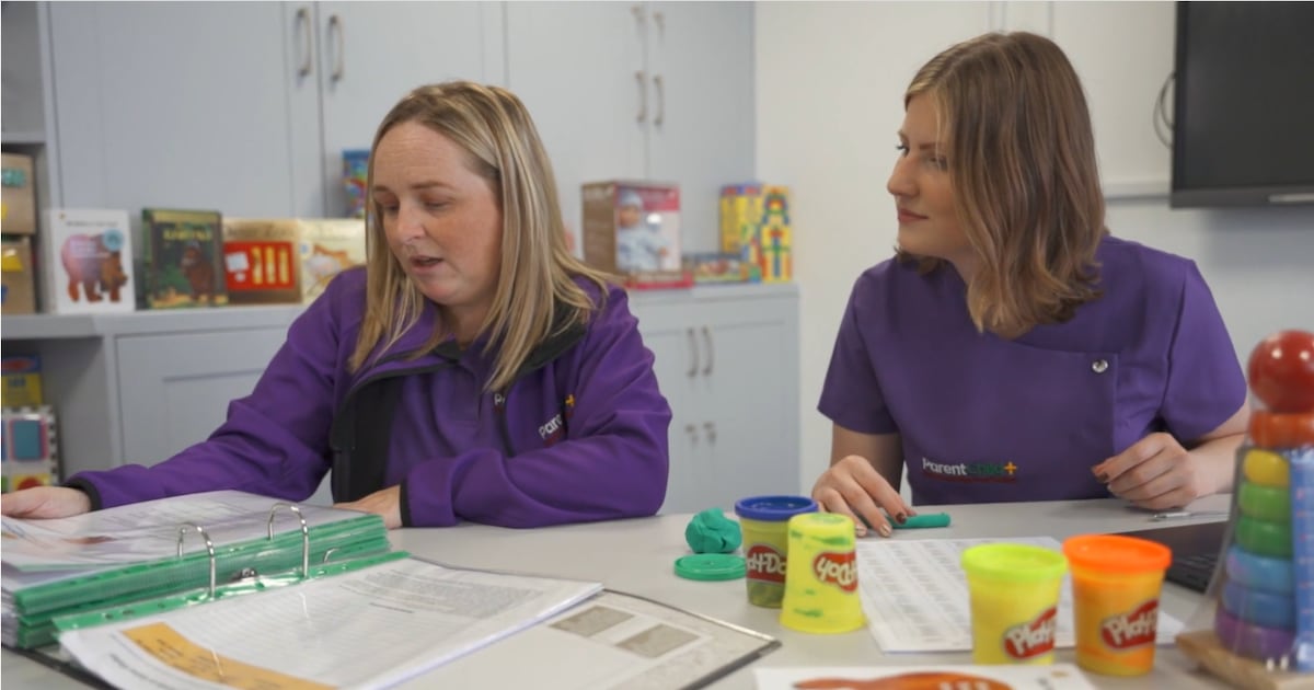 The home visitors helping parents discover the power of play – The Irish Times