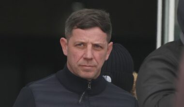 Apology offered to umpire assaulted during minor hurling match – The Irish Times