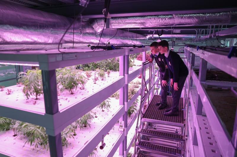 Belvedere College students Joseph Smith and Charlie Leyden monitoring the urban farm. Photograph: Enda O'Dowd
