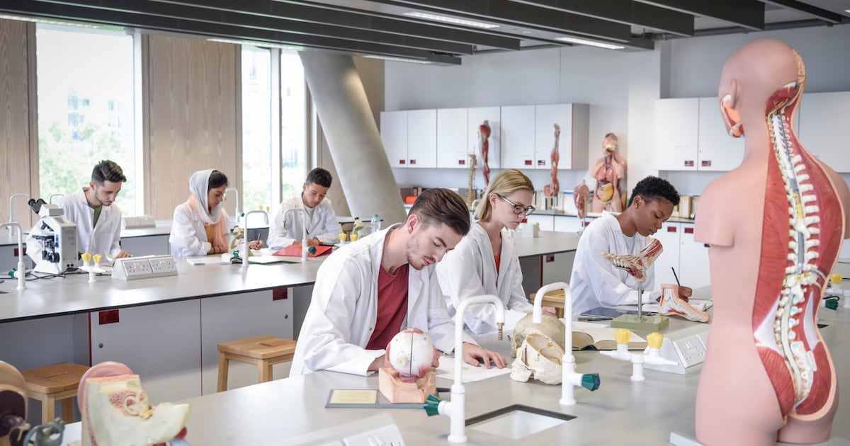 One in four of students on ‘diversity’ medicine course have family incomes of more than €150,000 – The Irish Times