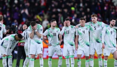 What we learned from Ireland’s qualifying campaign – The Irish Times