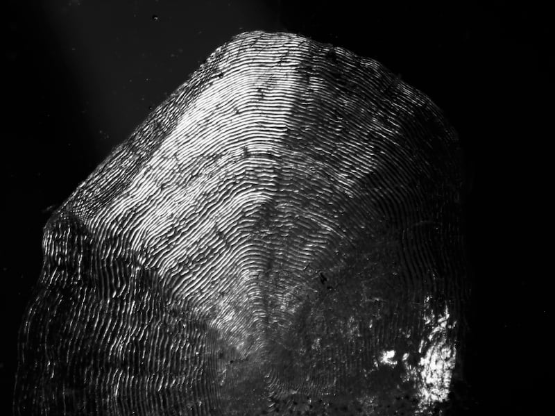 The Ocean Within. Photograph: Yvette Monahan