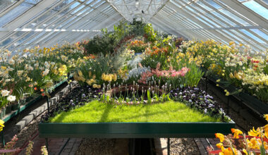 Secrets of evolution found in ancient plant DNA