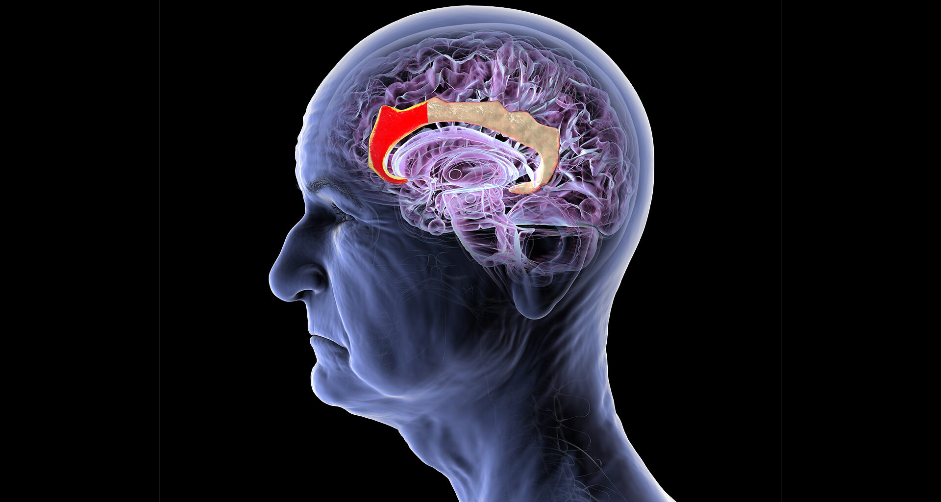 The Longitude Prize on Dementia