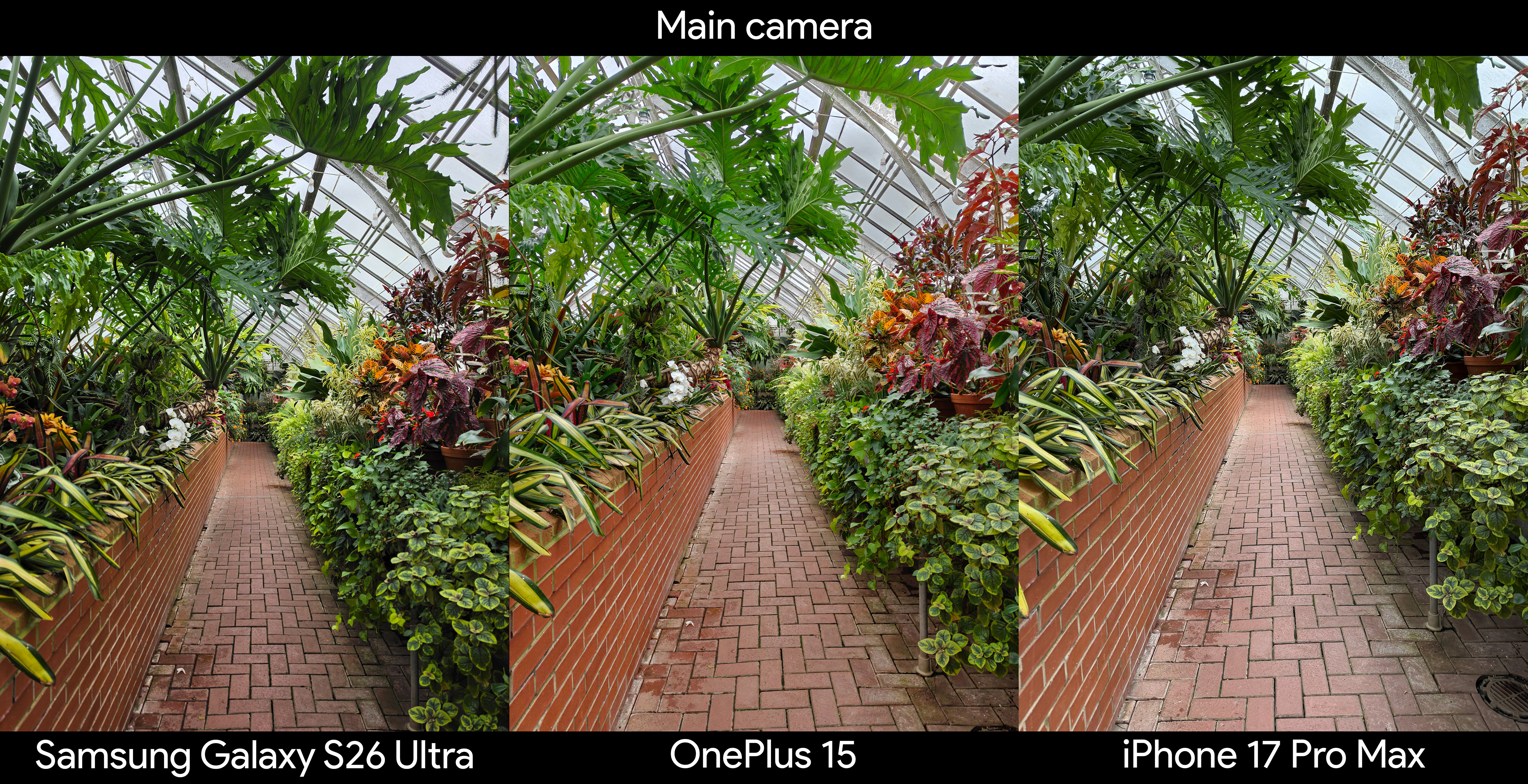 Samsung Galaxy S26 Ultra camera samples