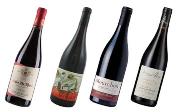 John Wilson’s guide to great Côtes du Rhône wines – The Irish Times