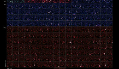 New catalog more than doubles the number of gravitational-wave detections made by LIGO, Virgo, and KAGRA observatories | MIT News