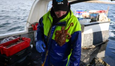 Aboard the Donegal fishing boat rocked by global events – The Irish Times