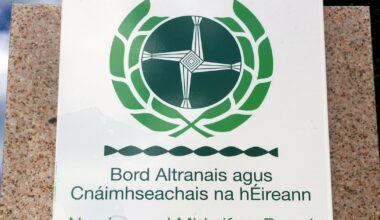 Insufficient evidence against psychiatric nurse accused of slapping patient – The Irish Times