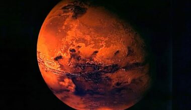 Even the toughest life on Earth may struggle in Mars' toxic soil