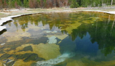Mushroom Pool: The subtle spring with the spectacular story