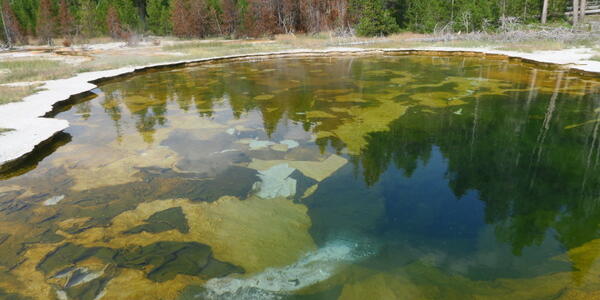 Mushroom Pool: The subtle spring with the spectacular story
