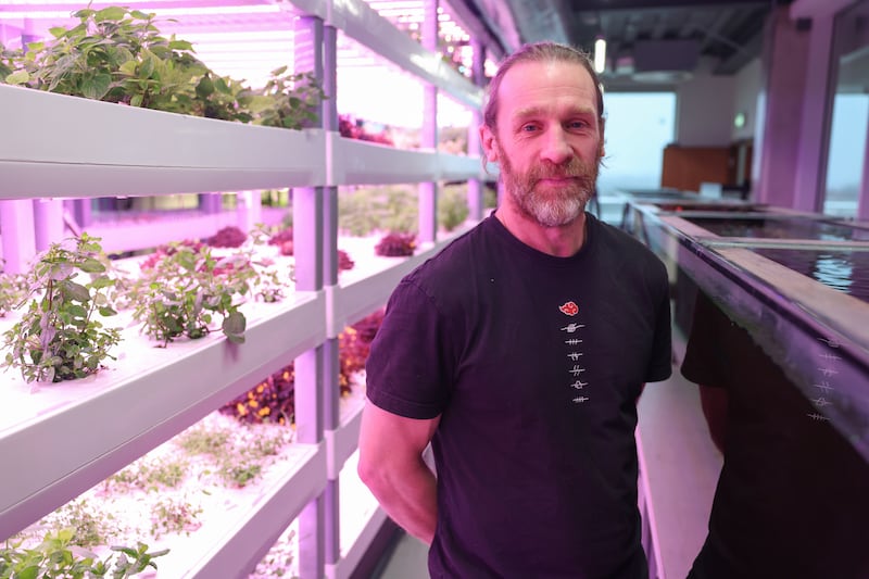 Simon O'Donnell, the educator in charge of Belvedere College's urban farm. Photograph: Enda O'Dowd
