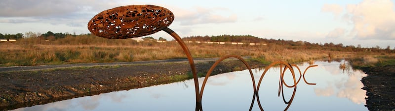 Gems that make you proud to be Irish: System No 30, by Julian Wild, at Sculpture in the Parklands, at Lough Boora Discovery Park, Co Offaly