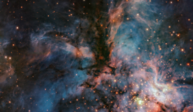 Cosmic Hawk spreads its wings| Space photo of the day for March 6, 2026