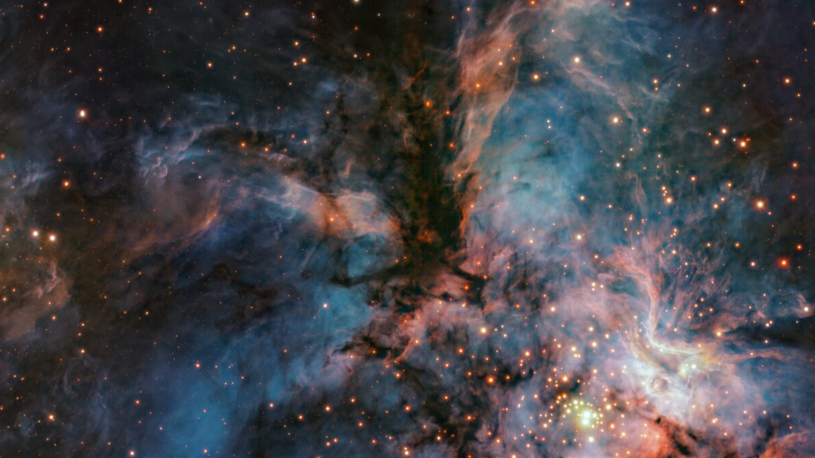 An image of RCW 36 in which the Milky Way nebula appears like a vast cosmic bird of prey