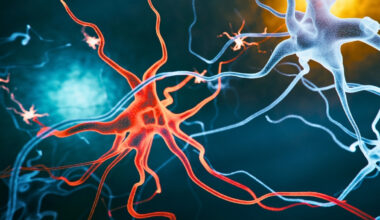 New Alzheimer's Treatment Strategy Reverses Cognitive Decline in Mice : ScienceAlert