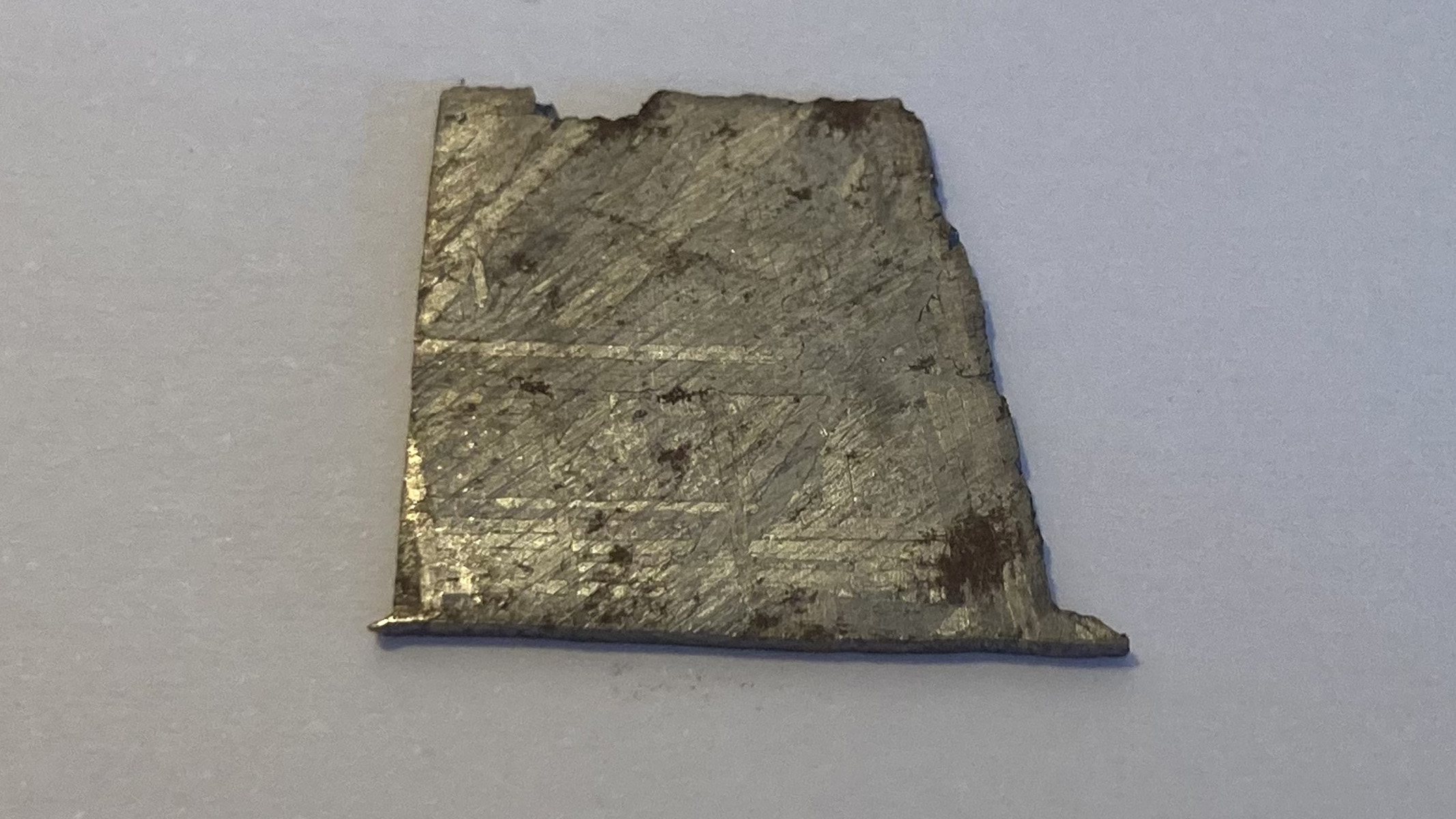 A slice of the Muonionalusta meteorite