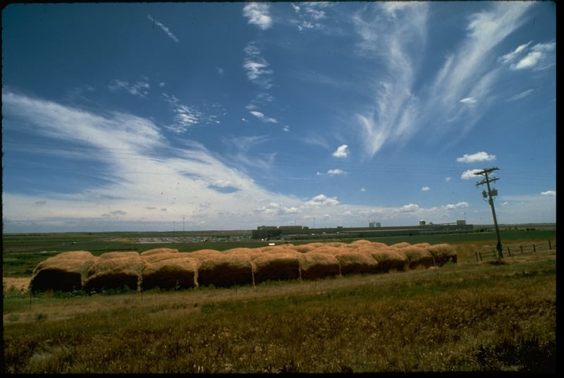 The arrival of a huge cattle slaughterhouse in 1980, which stretched across plains near Garden City, Kansas, saw the town change rapidly. Photograph: Barbara Laing/Getty Images