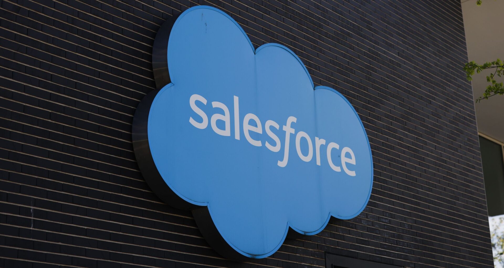 What AI Means for Software Companies’ Moats