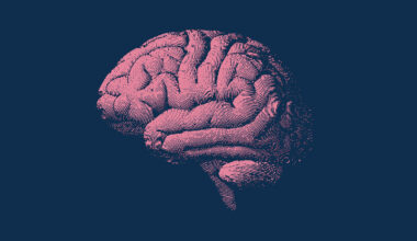 This Unique Diet Could Slow Your Brain Aging by Over 2 Years, Study Suggests : ScienceAlert