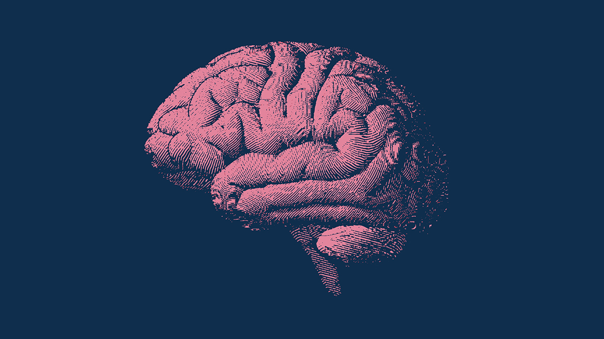 This Unique Diet Could Slow Your Brain Aging by Over 2 Years, Study Suggests : ScienceAlert