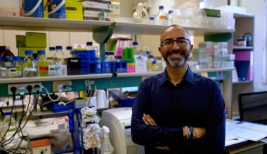 Israeli researchers find cannabis compounds could lead to 1st drug for fatty liver disease