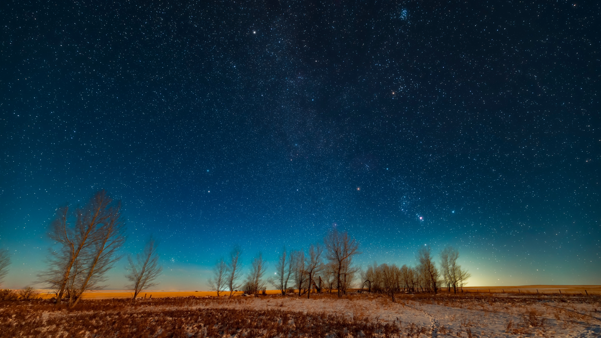 Prominent winter constellations glow in a clear winter sky above a snowy field lined with bare trees.