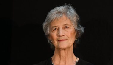 Government says power to set foreign policy lies with it and not President Connolly – The Irish Times