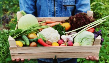 Food prices explained: Who really benefits from what we eat – Dr Jacqueline Rowarth