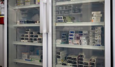 When generic versions of weight-loss drugs arrive, public plans should cover them, experts say