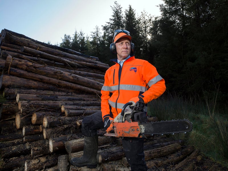 Michael Healy-Rae: The Minister of State at his forestry near Kilgarvan, Co Kerry, last year. Photograph: Don MacMonagle