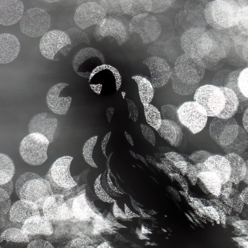 A silhouette of a bird, possibly a swan, is surrounded by bright, circular light reflections, creating an abstract, dreamy effect in black and white.