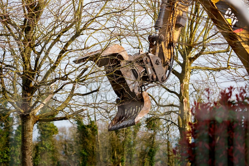 A piece of heavy machinery begins work removing a tree from the property. Photograph: Barry Cronin