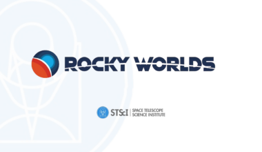 Rocky Worlds DDT Data Challenge and Data Challenge Workshop