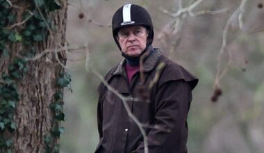 Fine art and a portacabin for the staff