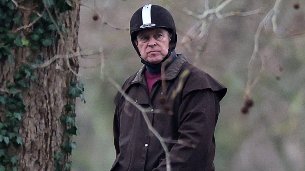 Fine art and a portacabin for the staff