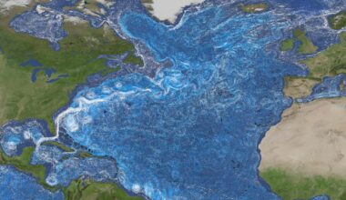 Shift in the Gulf Stream could signal ocean current collapse