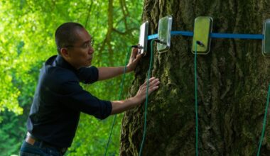 Tony Leung in Ildikó Enyedi's New Film