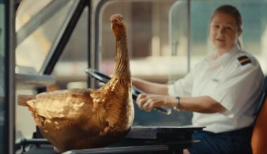 Super Members Council creates enduring icon for superannuation in new work via Thinkerbell