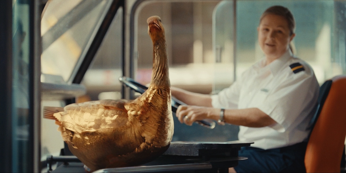 Super Members Council creates enduring icon for superannuation in new work via Thinkerbell