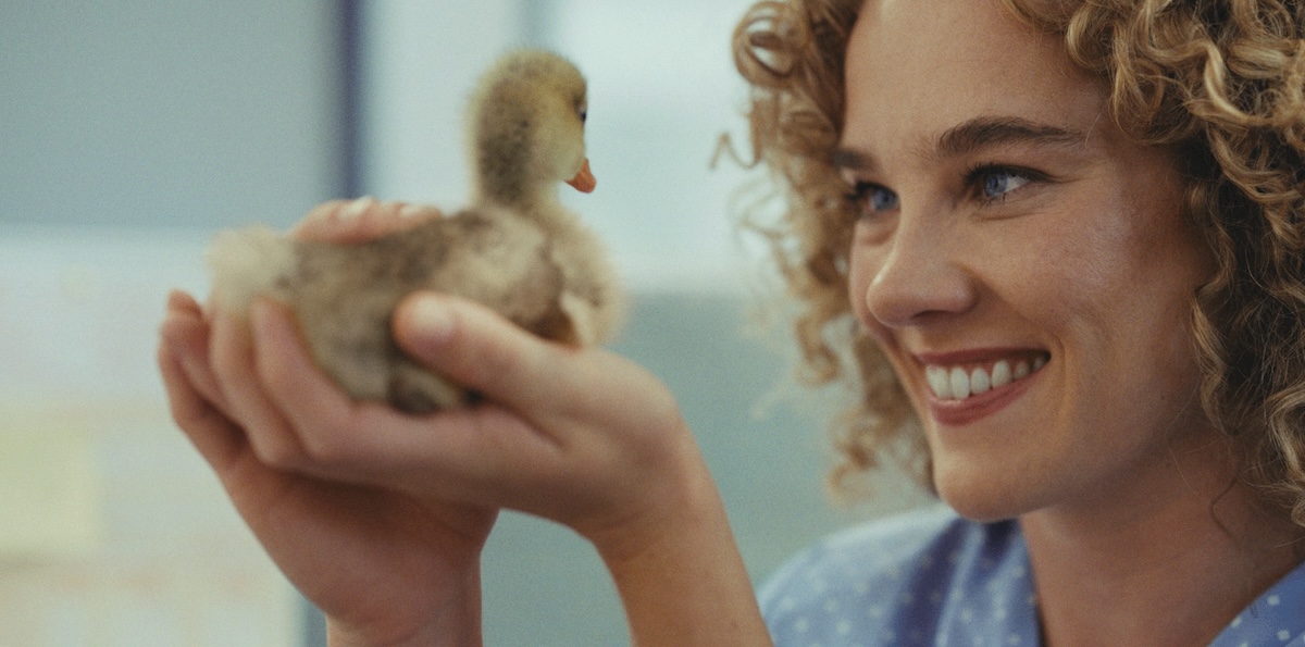 Super Members Council creates enduring icon for superannuation in new work via Thinkerbell