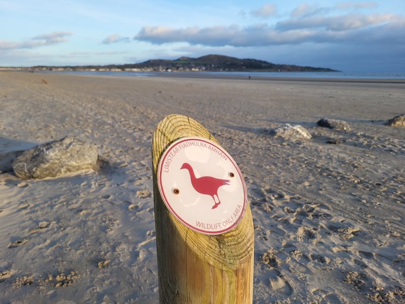 A sign showing part of Bull Island is meant to be for wildlife only and off-limits for walkers and other uses. Photograph: Pádraic Fogarty