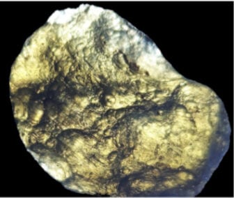 Geraisite specimen seen in transmitted light displaying the typical olive green tobrown colors (samples thickness is < 0.5 cm