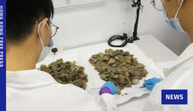 Singapore seizes record Asian pangolin scales