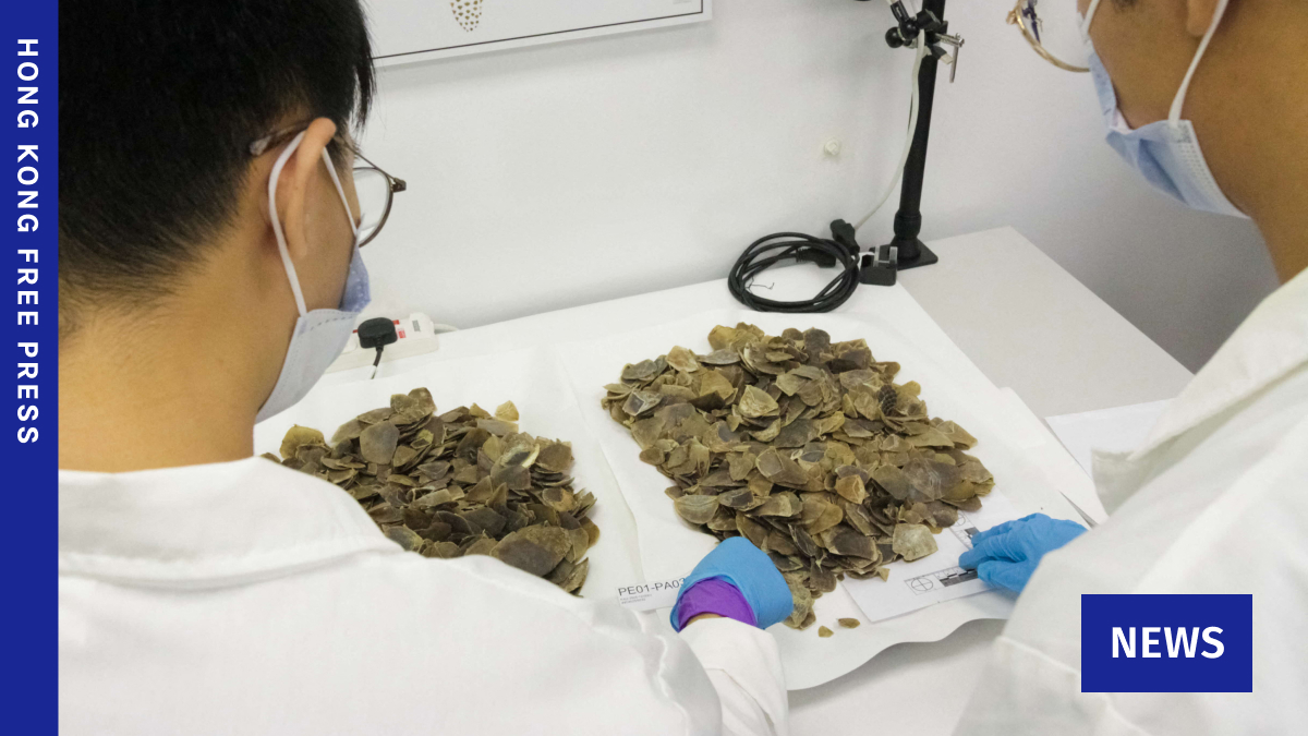 Singapore seizes record Asian pangolin scales