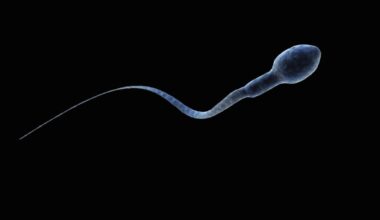 Sperm Get Lost in Microgravity, And It Could Seriously Impact Space Travel : ScienceAlert